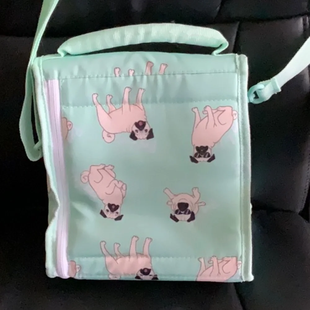 NWOT, BUILT Icehouse Cube Pug Lunch Bag - Picture 2 of 3